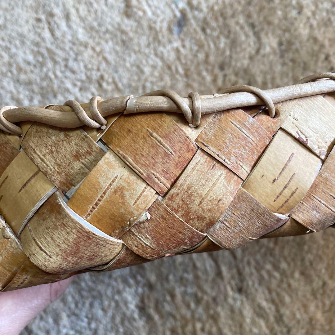 白樺　バスケット　根かがり