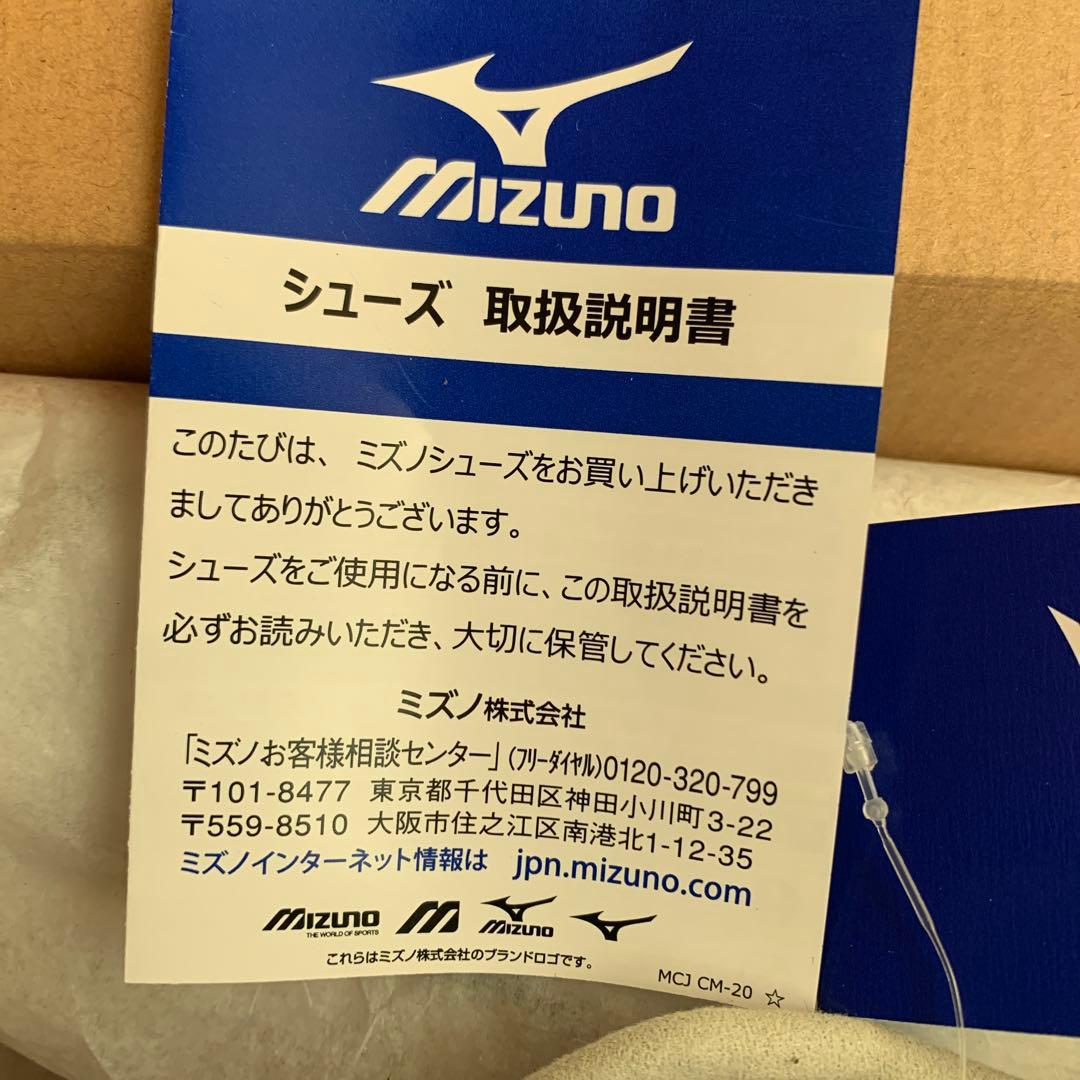 【新品未使用】ミズノ モレリア SALA PRO IN フットサル　室内シューズ