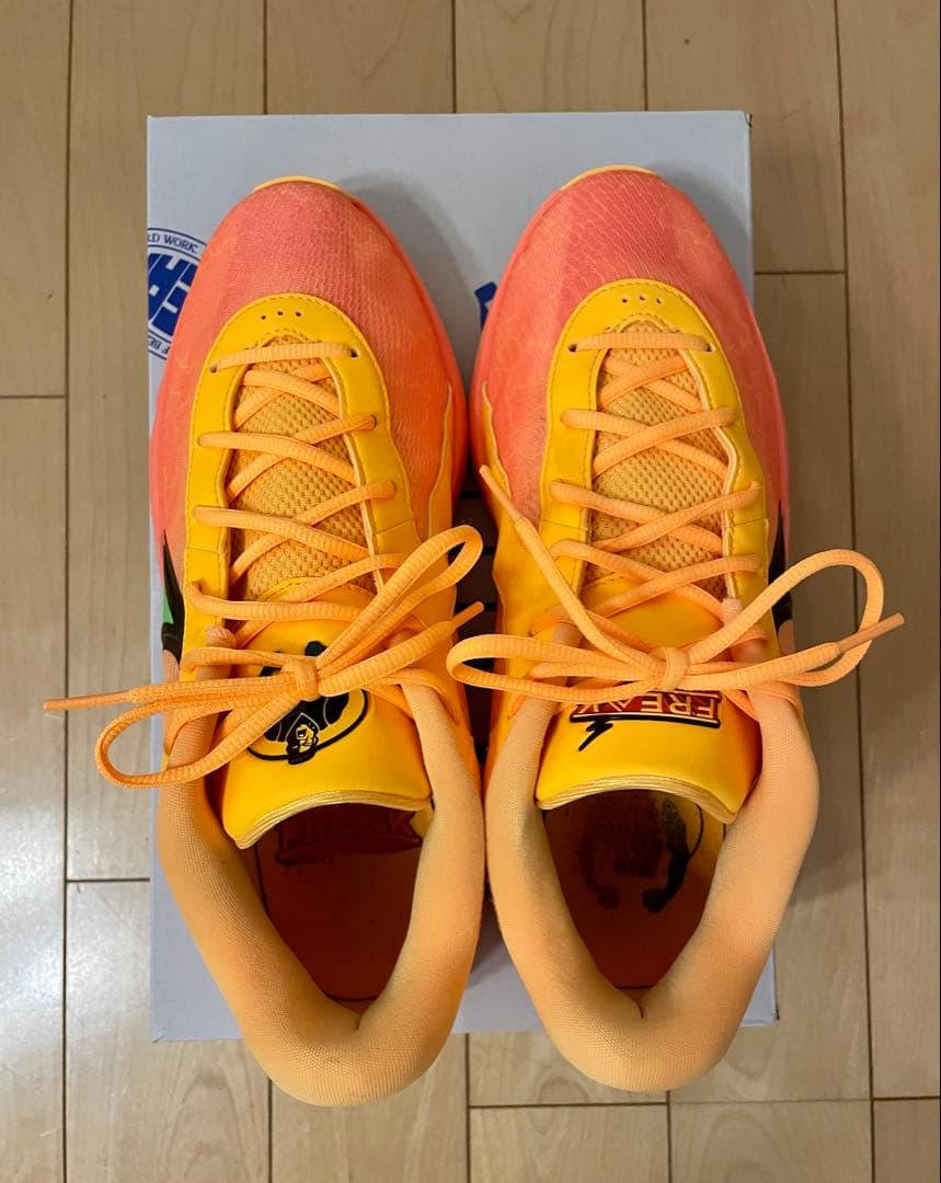NIKE、ズームフリーク6 EP、28.5センチ