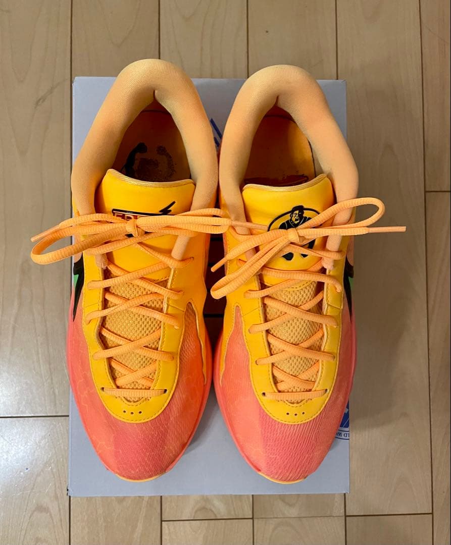 NIKE、ズームフリーク6 EP、28.5センチ