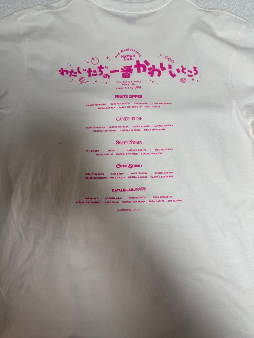 FRUITSZIPPER仲川瑠夏　サイン入りTシャツ