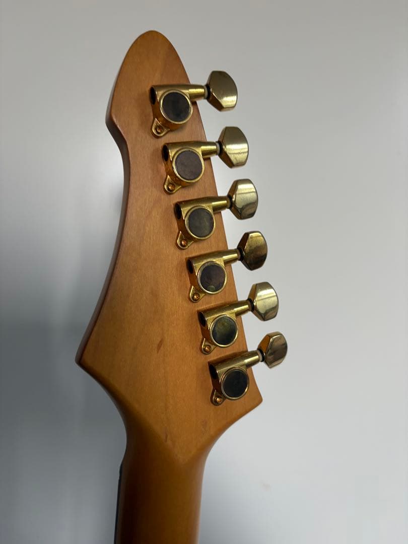 Aria pro2 viper vp-400 ケース　ストラップ　教科書付き