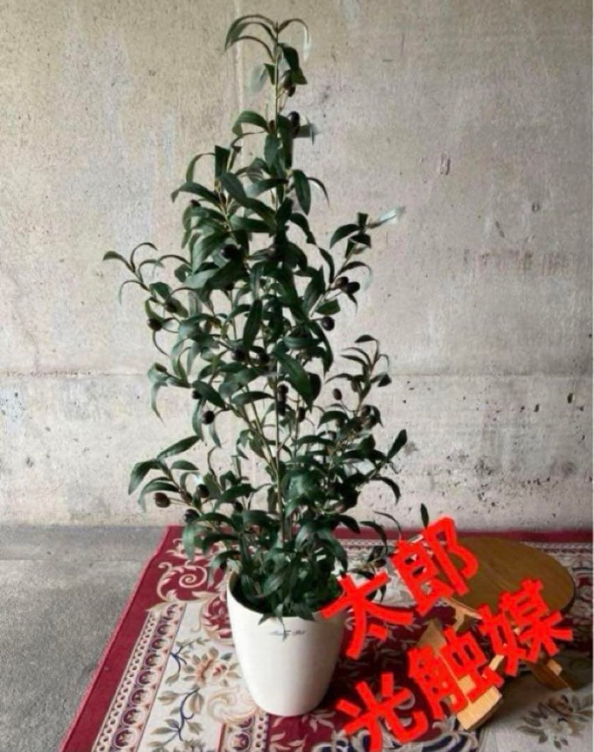 光触媒　人工観葉植物　ウォールグリーン　フェイクグリーン　オリーブ9696