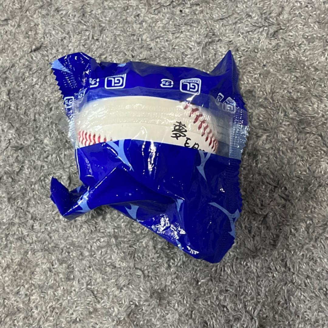 甲子園100周年記念ボール 大山選手サイン入り