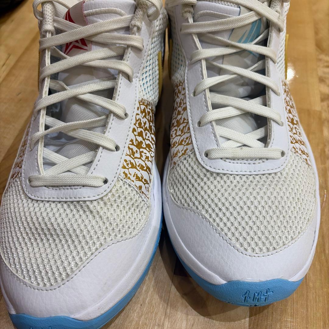 シューズ(男性用) NIKE JA1 27.0cm