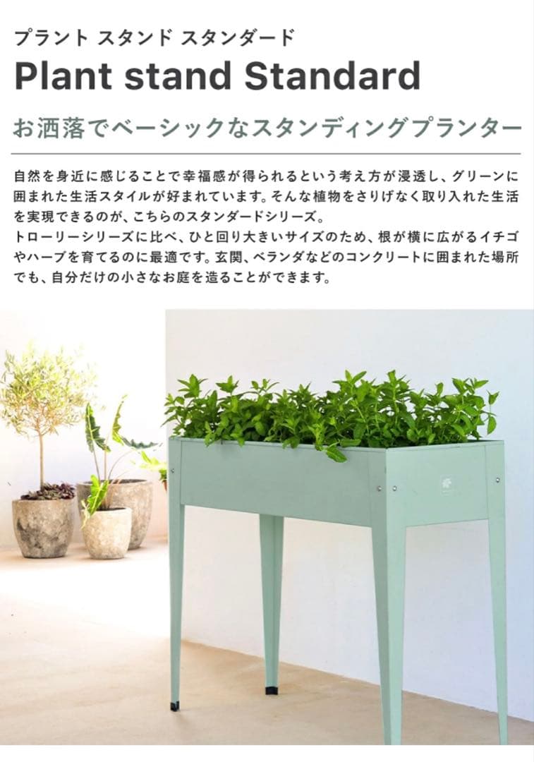 【未使用級】プラントスタンド 排水穴付き コーデックス ビカクシダ 観葉植物
