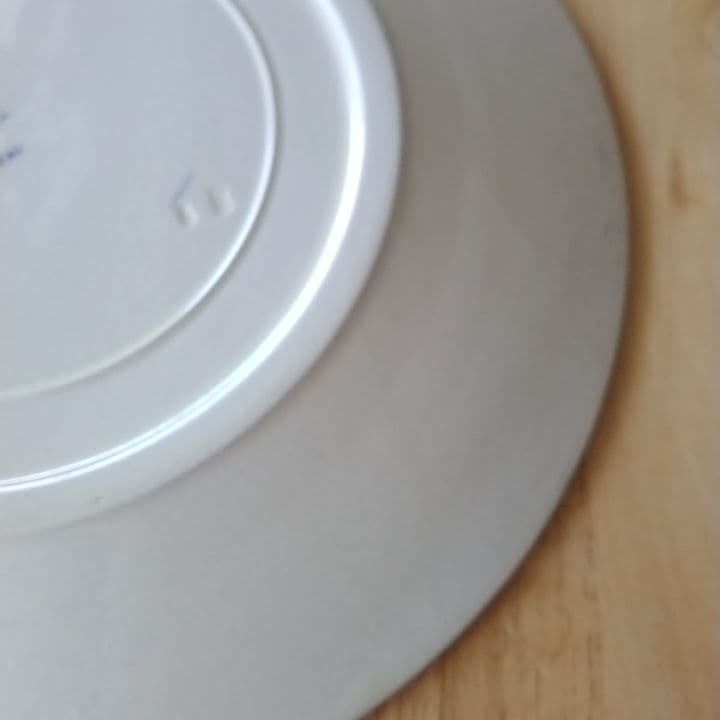 フランスアンティーク　クレイユモントローColbertディナー皿