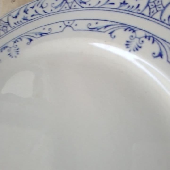 フランスアンティーク　クレイユモントローColbertディナー皿
