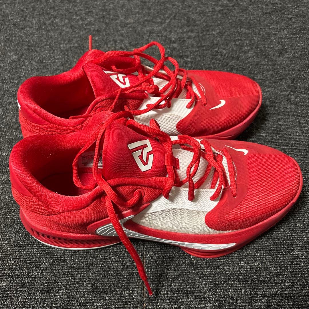Nike Zoom Freak 4 Team ヤニスアデトクンボ