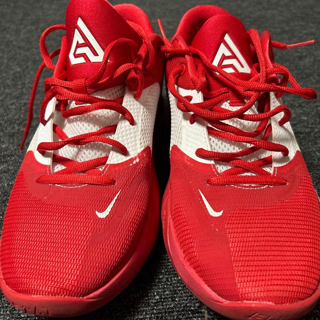 Nike Zoom Freak 4 Team ヤニスアデトクンボ