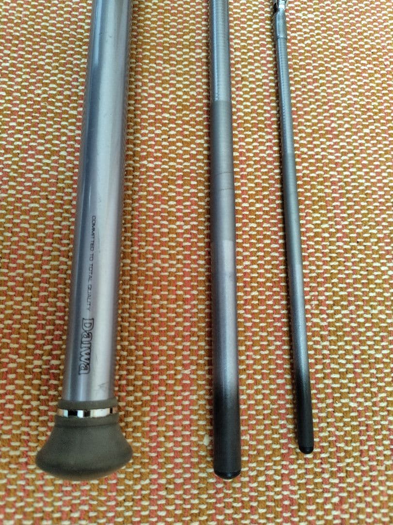 Daiwa HZ 剣崎 V 30号320