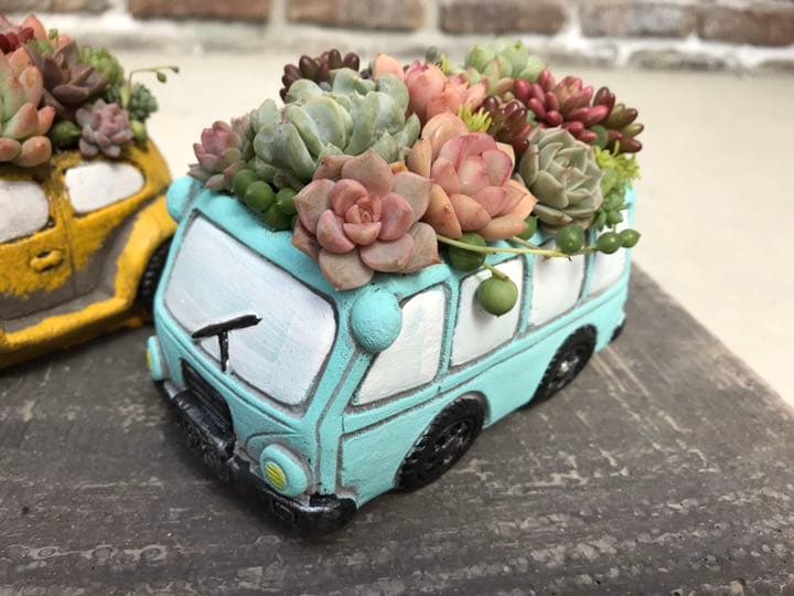 多肉 寄せ植え★flower bus-フラワーバス 水色★