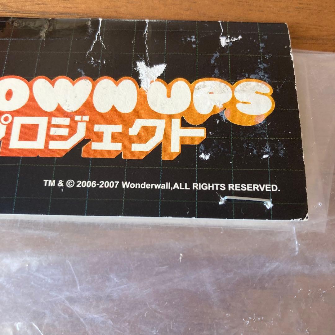 WONDERWALL オトナのカイジュウプロジェクト TIM BISKUP