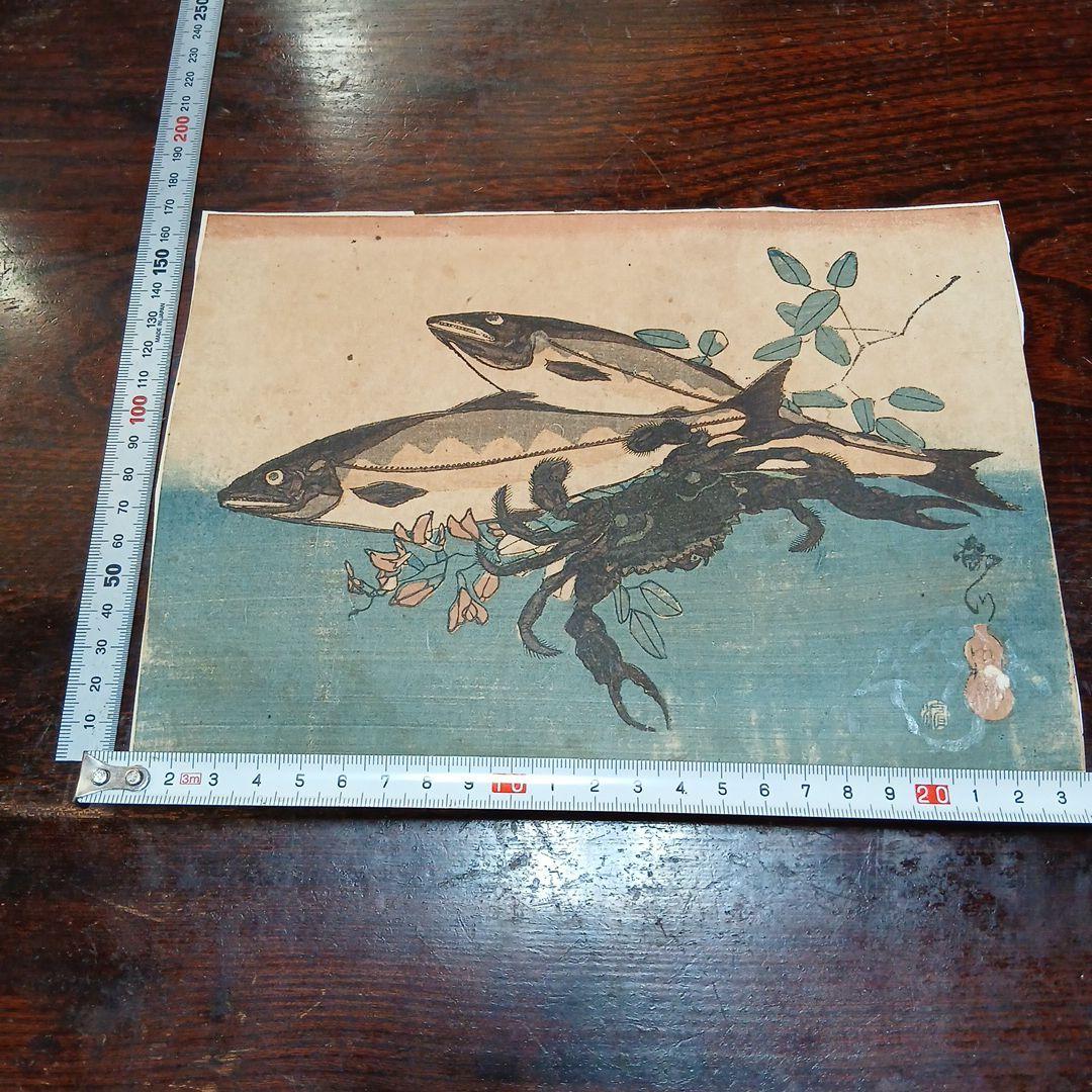 江戸時代　浮世絵　木版画　歌川広重　魚づくし
