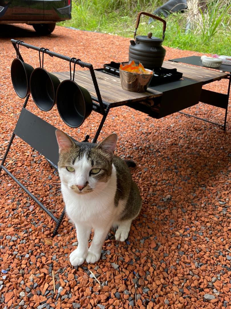 WILD OUTDOOR タフまるアイアンテーブル