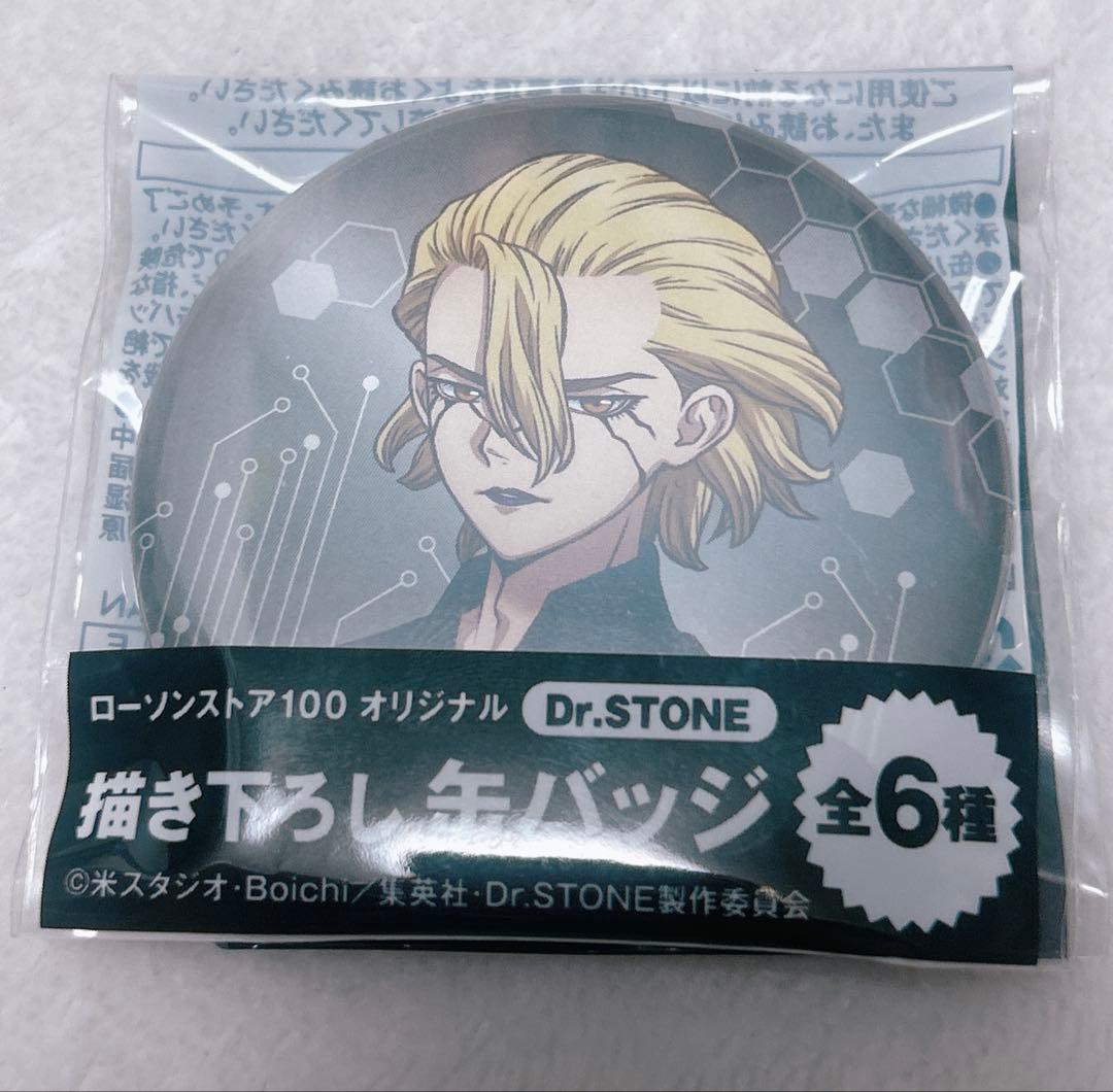 Dr.STONE ドクスト スタンリー ローソン100 缶バッジ 28個セット