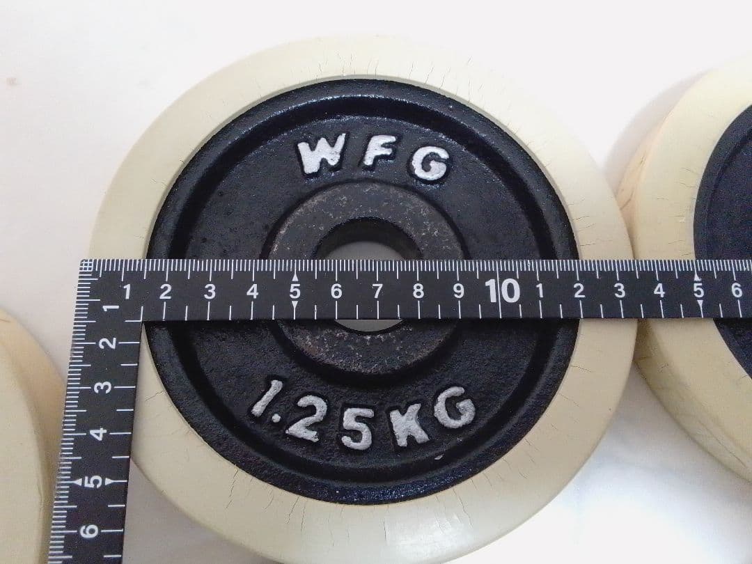 WFG ワイルドフィット ラバー付 ダンベル プレート 約20kg セット