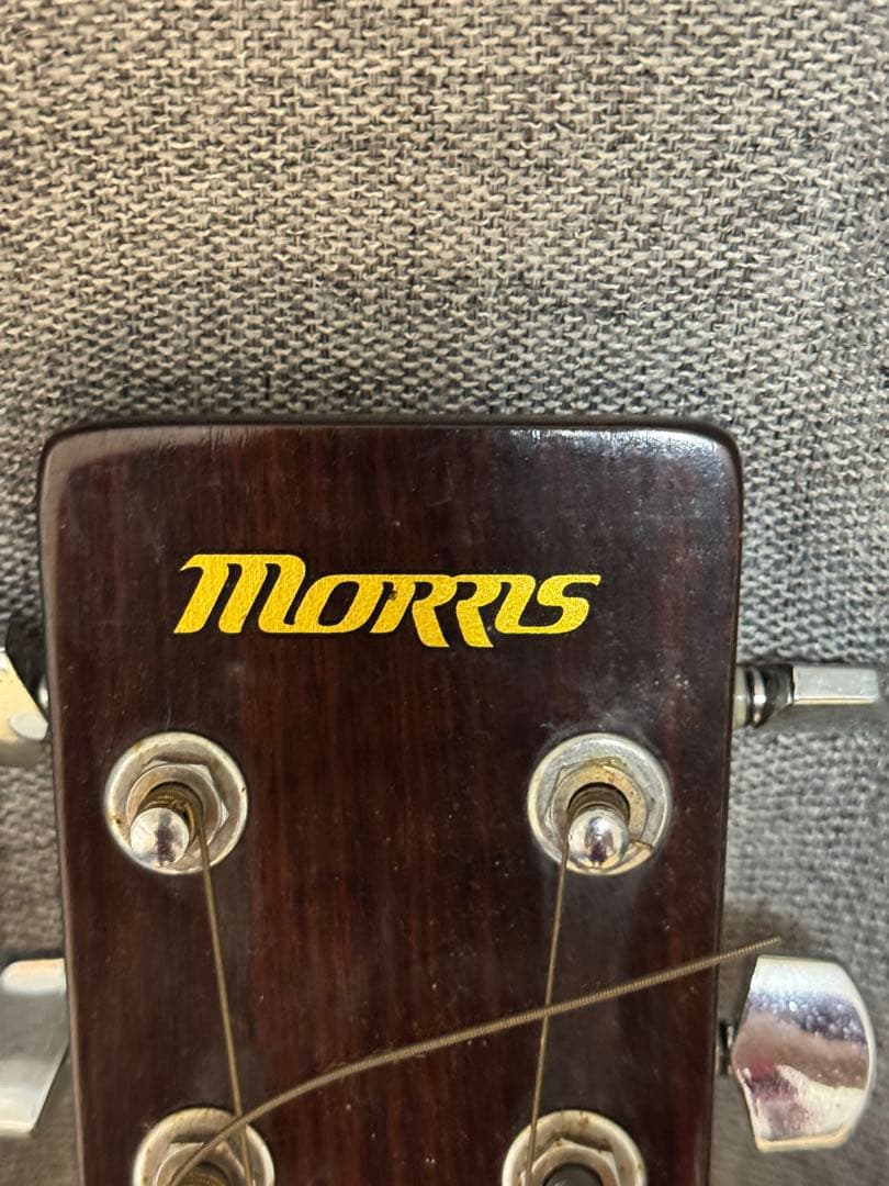 Morris MF 252 アコースティックギター