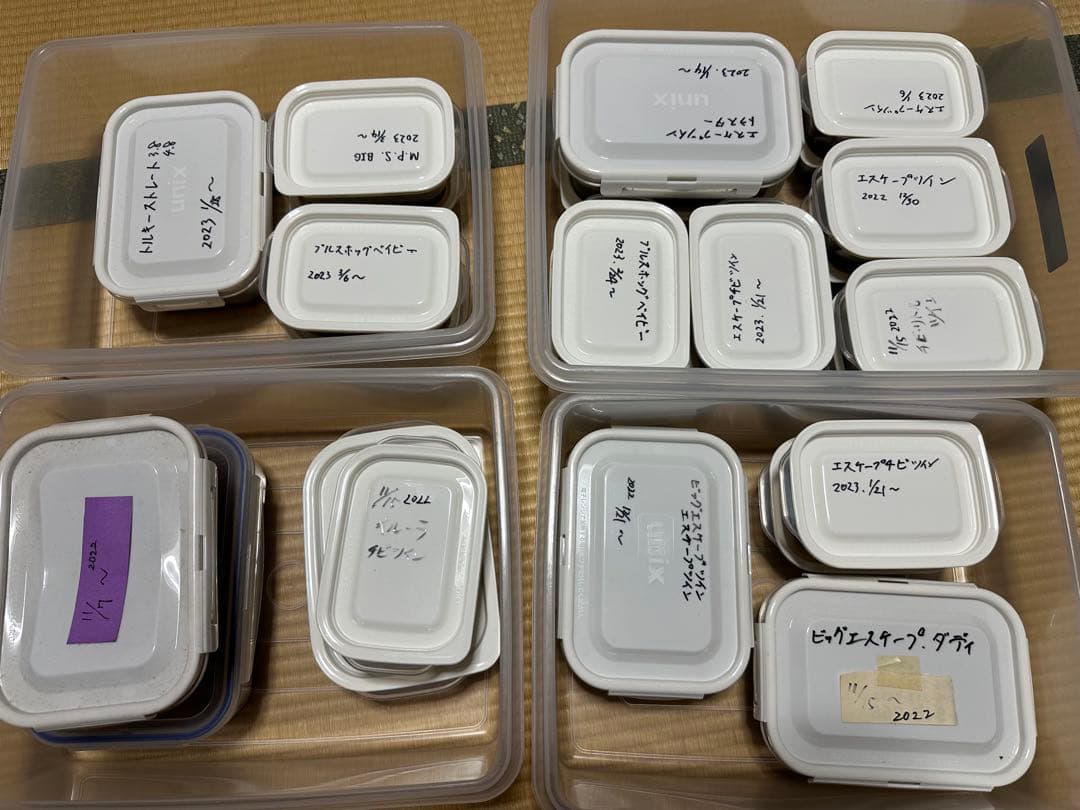 巧漬け3年もの エビパウダー