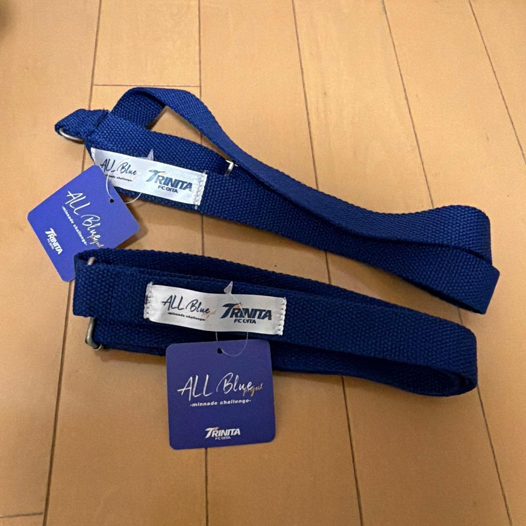 大分トリニータ　一緒におでかけリッジーぬいぐるみ　（おんぶ紐付き）　リッジー