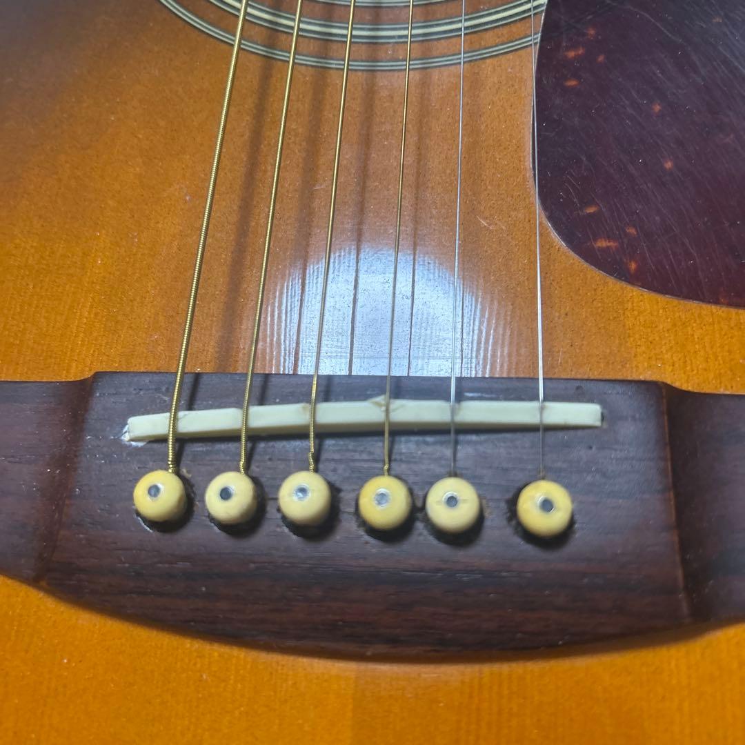 Takamine(タカミネ)アコースティックギター アコギ ソフトケース付き