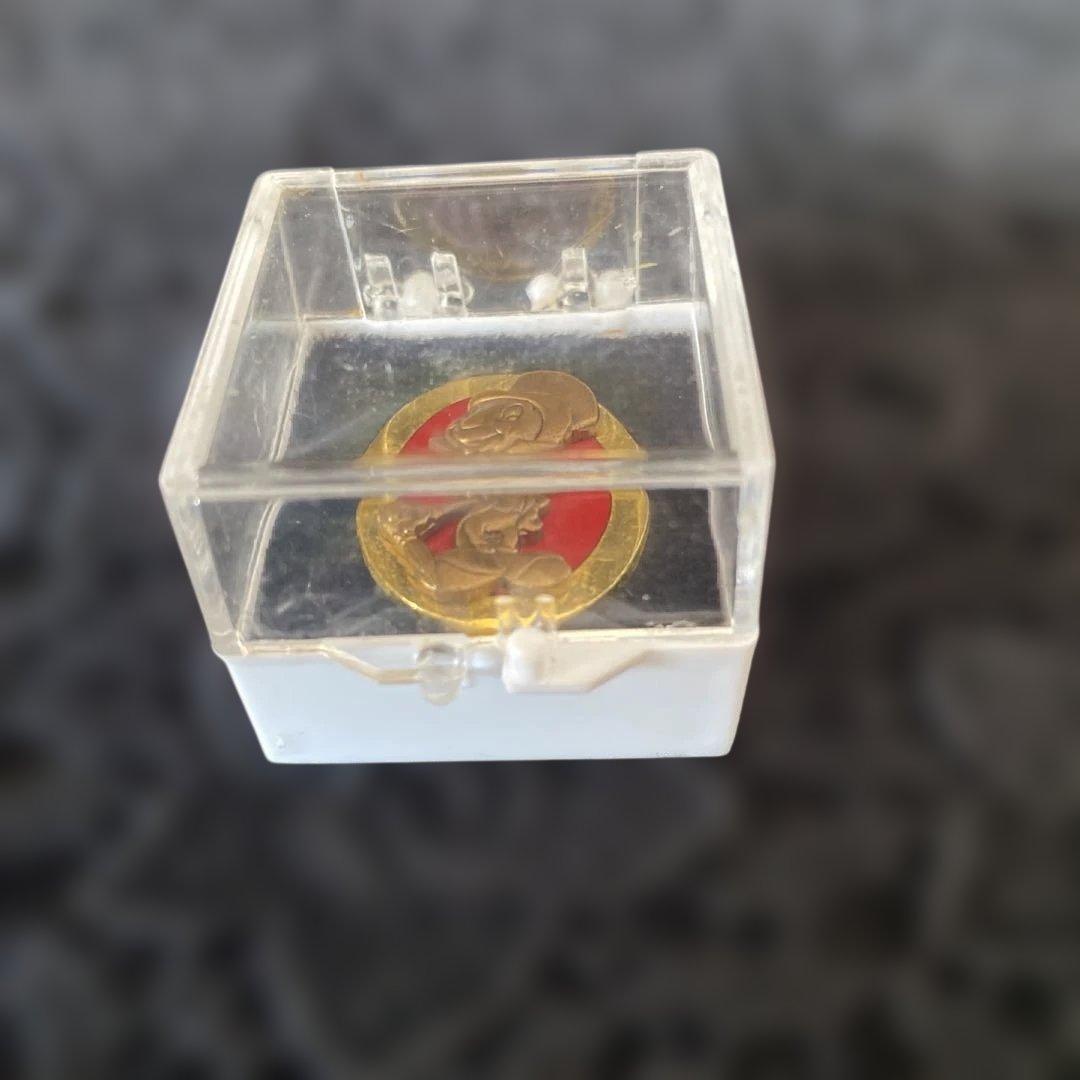 非売品　ディズニートレーナーピン