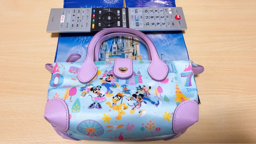 【70周年限定】カリフォルニアディズニーDisney land ポーチ・バッグ