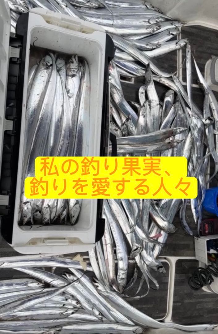 100g×8 120gx5