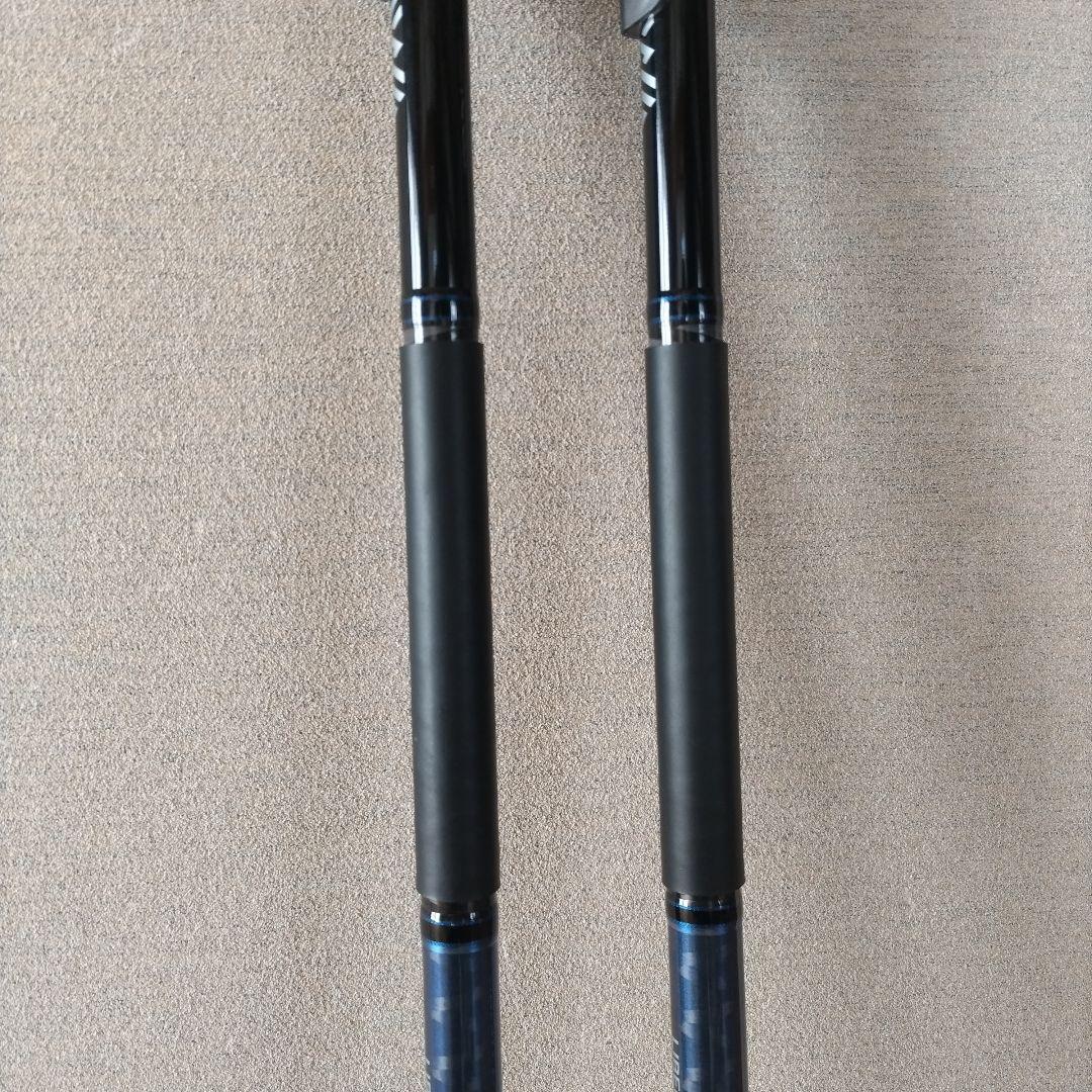 ダイワ リバティクラブ アオリ 2本セット