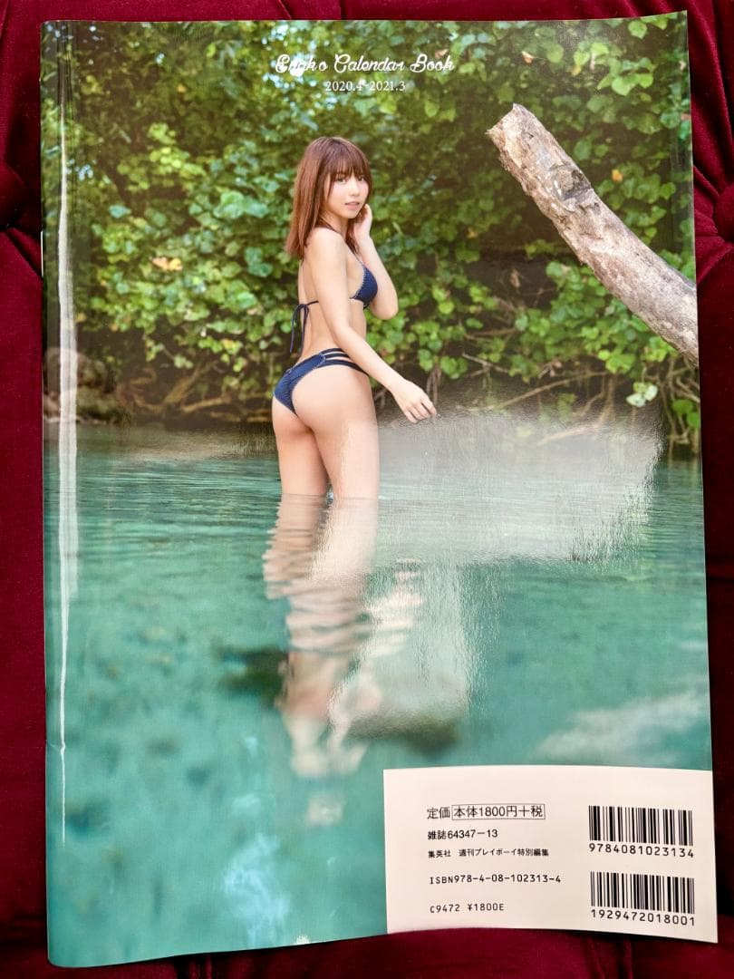 えなこ 写真集 グッズ ブロマイド シール 色紙 コミケ あんにゅい豆腐 セット