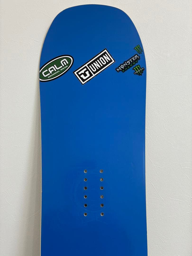 スノーボード Dinosaurs will die PERRY 153cm