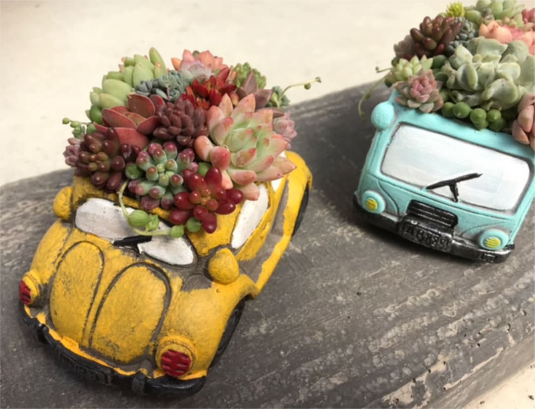 多肉の寄せ植え ★frower car-フラワーカー 黄色★