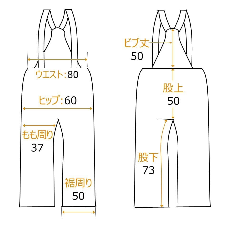 ノースフェイス スキーパンツ Men’s-L NY-7107 Gore-TEX