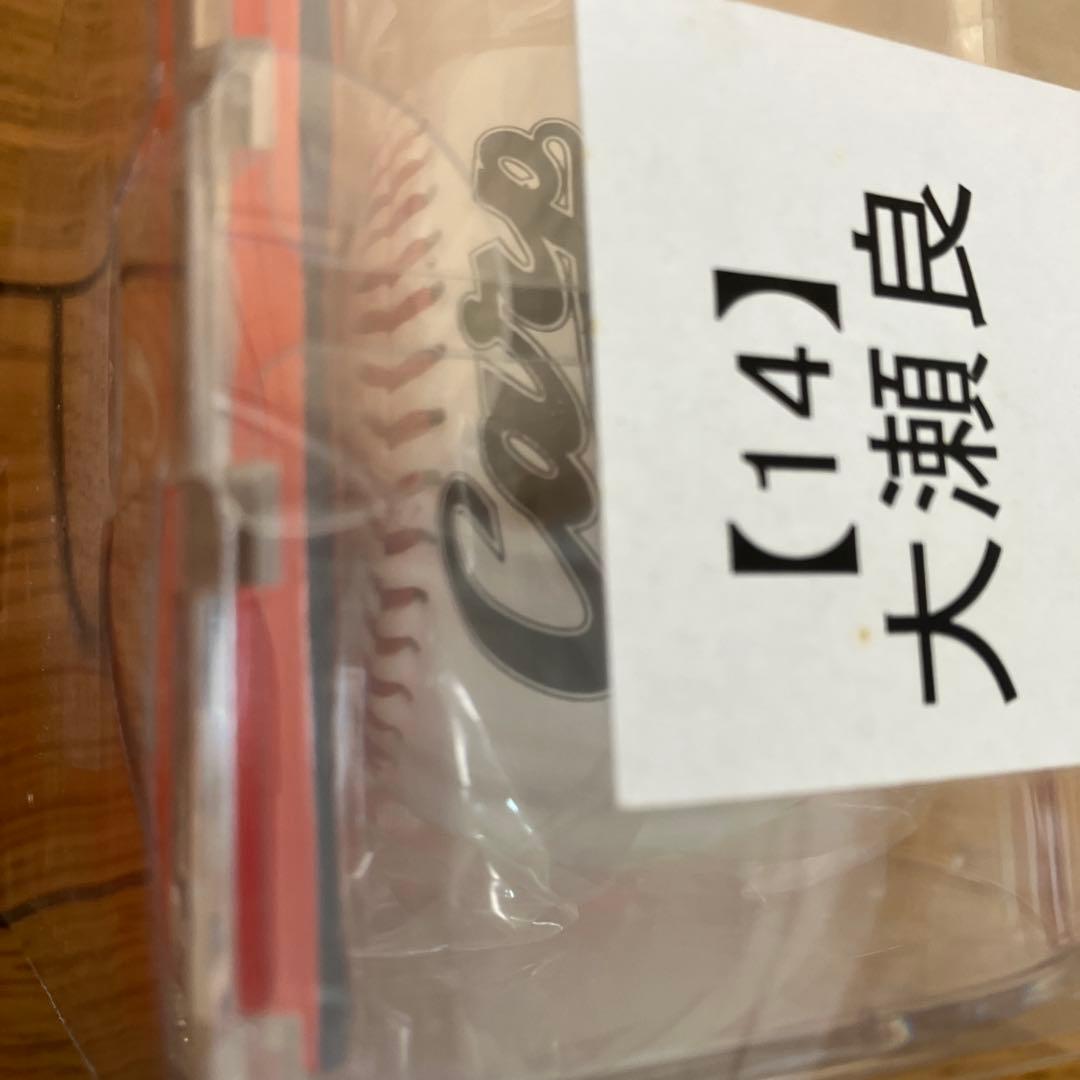 球団公認！大瀬良大地選手　直筆サインボール　広島東洋カープ