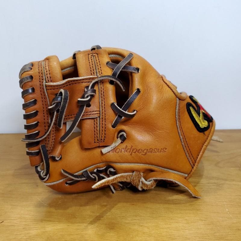 ワールドペガサス トクサンTVコラボ トレーニンググラブ 内野用 硬式グローブ