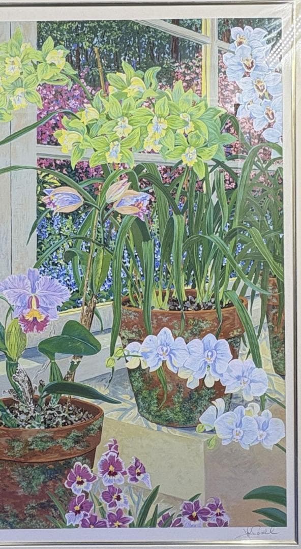額縁★Orchid John Powell オーキッド ジョン・ポーウェル