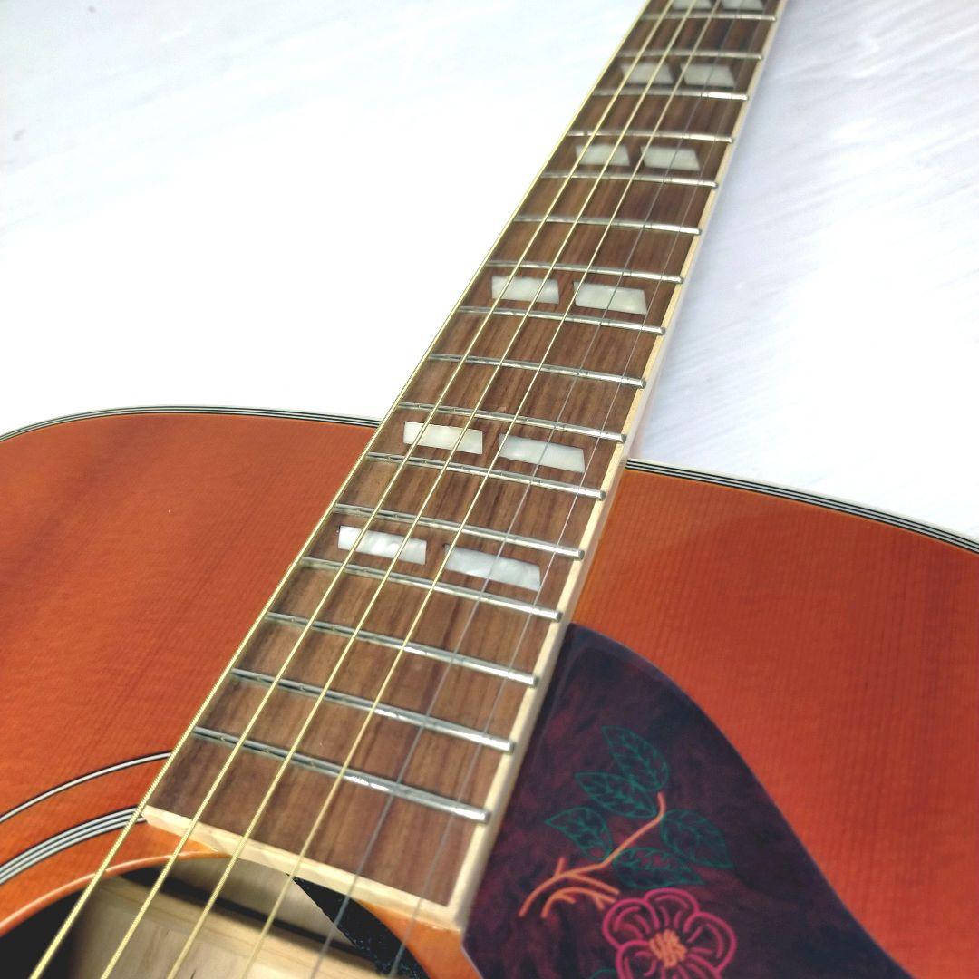 【極美品/24h内発送】Epiphone Dove Pro 幸せを運ぶ鳩の調べ