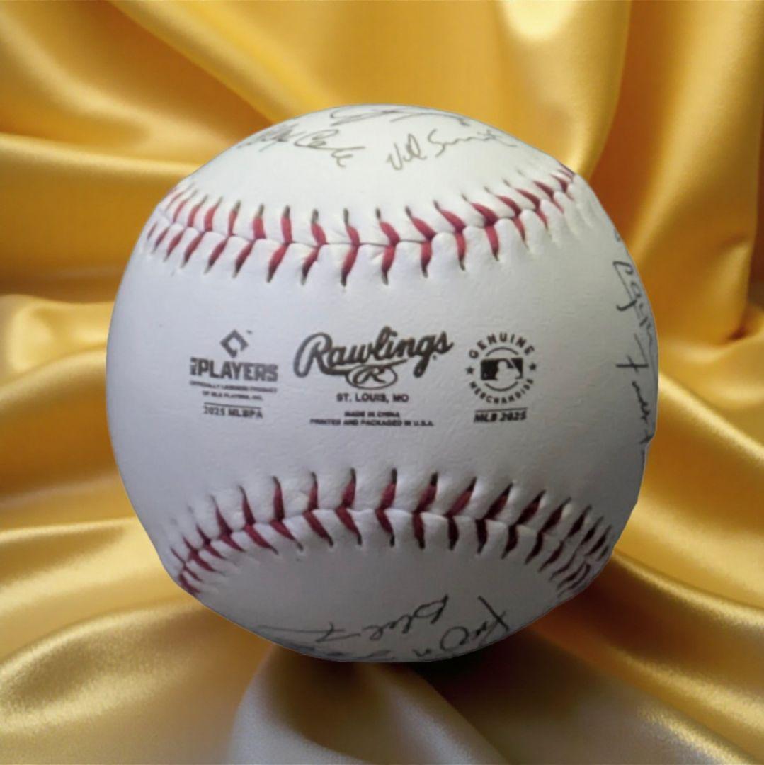 ち*る様 MLB ワールドシリーズ2025優勝記念ドジャース大谷山本佐々木選手サ
