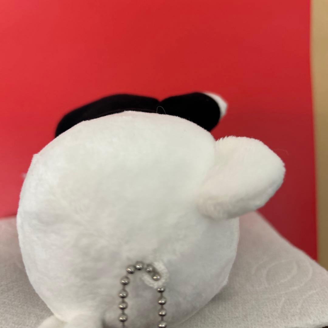 BE:FIRST SOTA ソウタBMSGパーカー ぬいぐるみ くま 男前