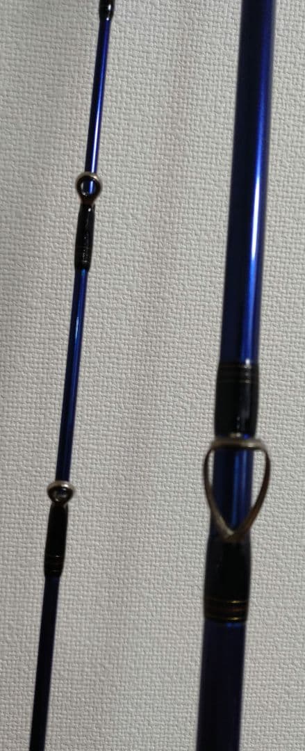 【Daiwa 】極鋭 ヒラメ 300