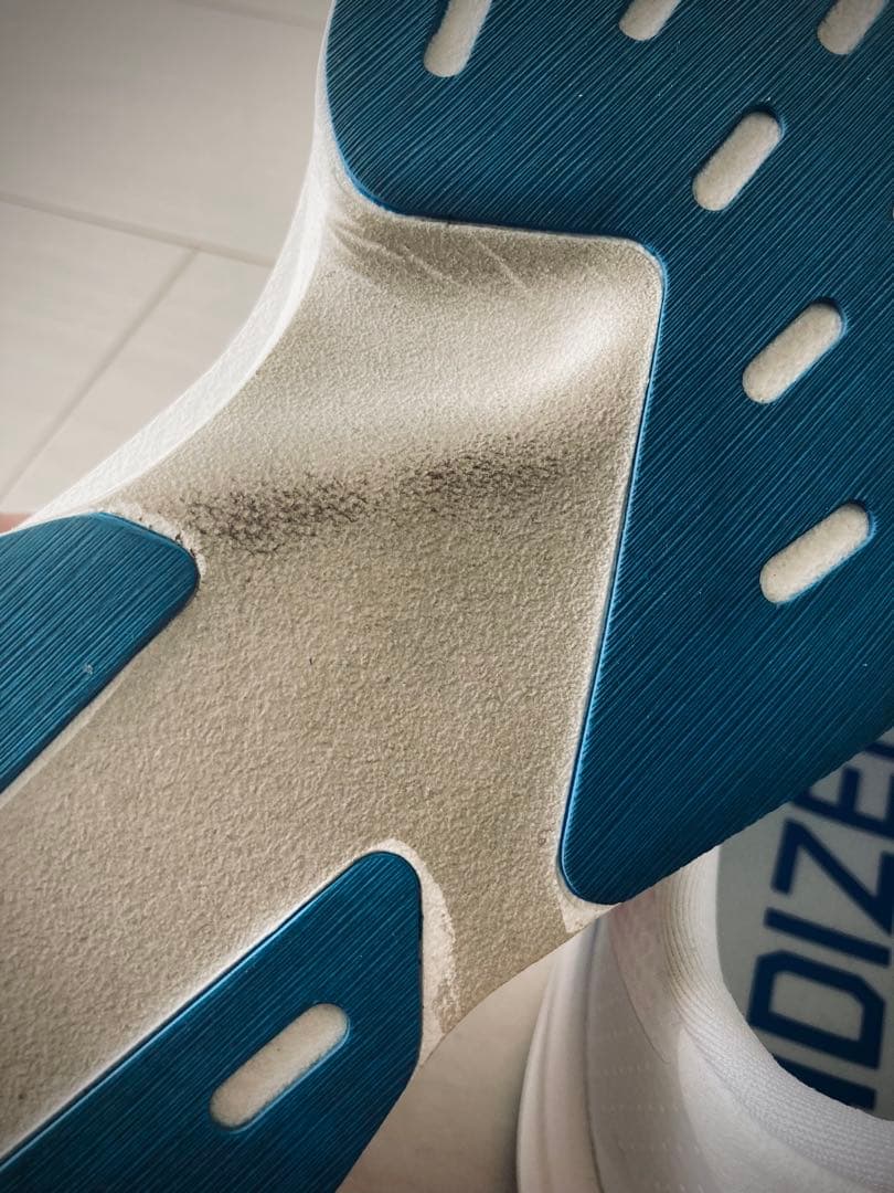 ADIZERO EVO SL WOVENアルペン限定カラー 28cm