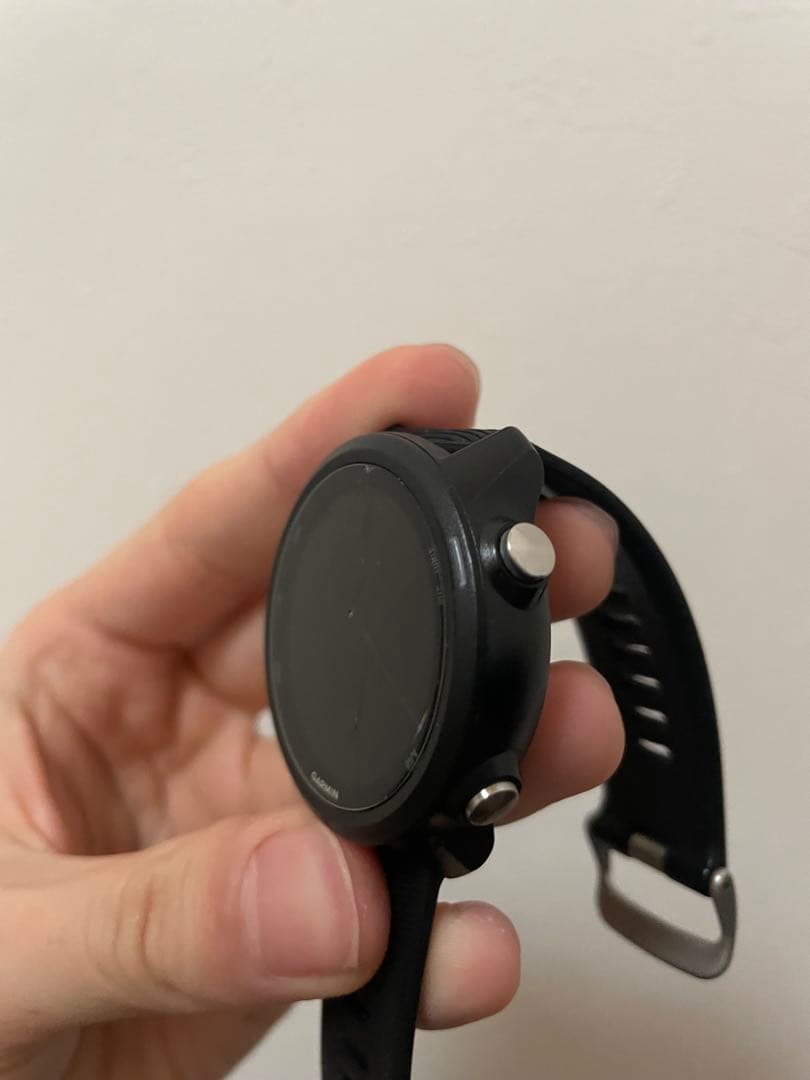その他 Garmin245