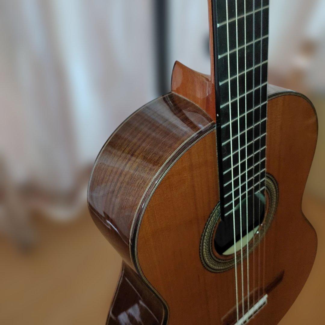 Aria A-50C-63 アコースティックギター