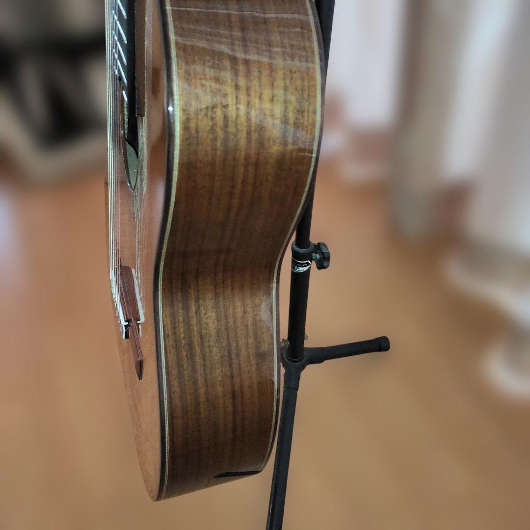 Aria A-50C-63 アコースティックギター
