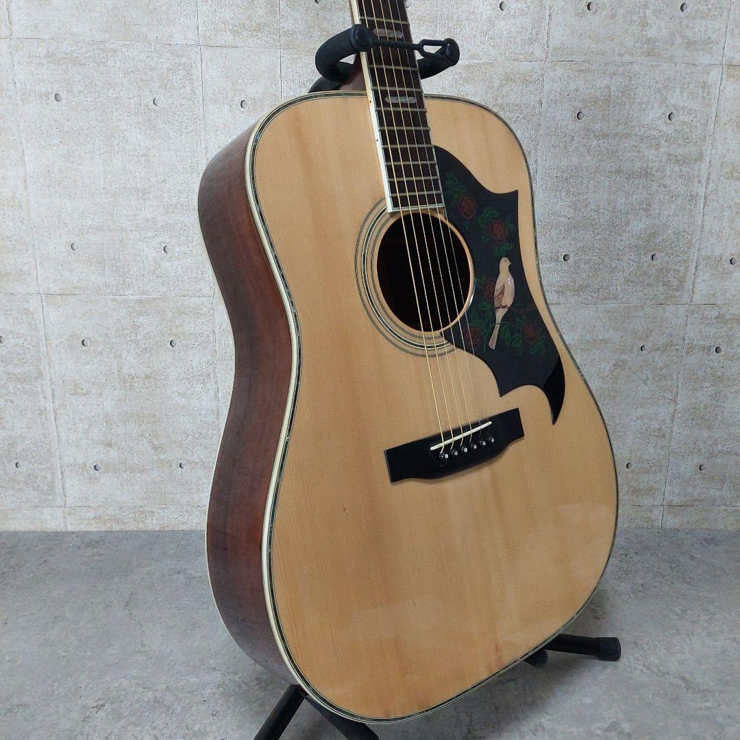 【希少】 Morris TF W-60 ハカランダ Gibson DOVEモデル