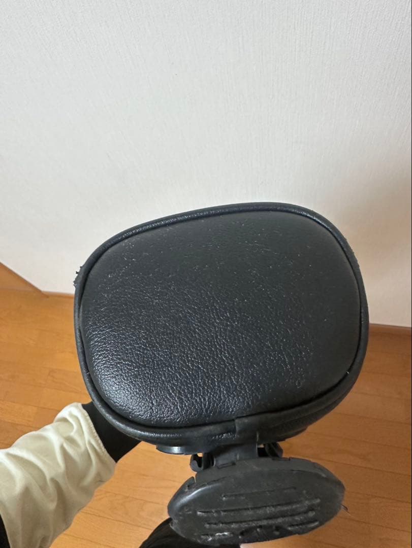 レザレクション　セルフスタンドバック