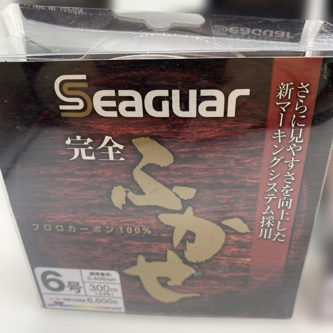 Seaguar　シーガー 完全フカセ 300m 5号 2個