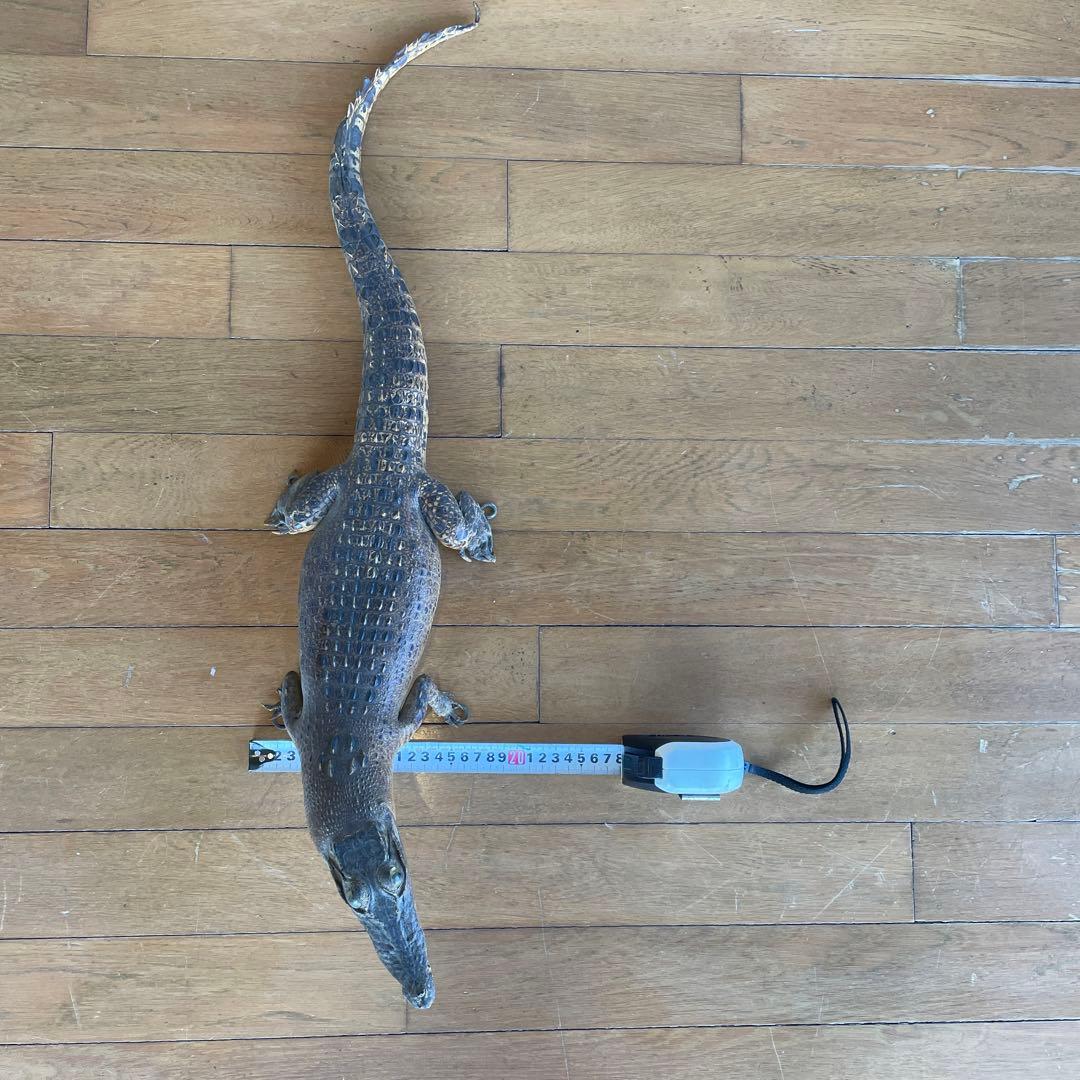 ワニ　置物