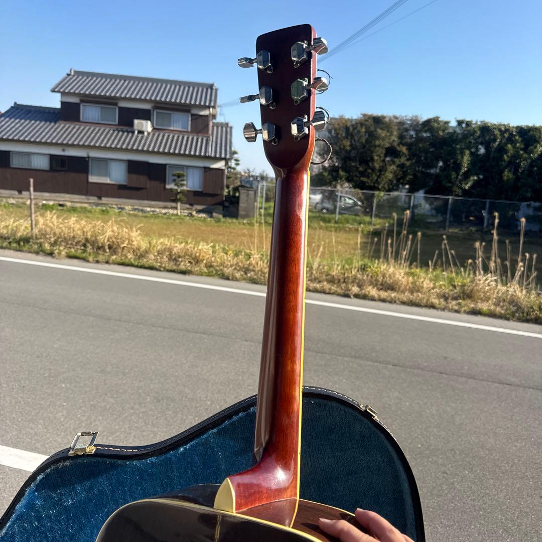 アコースティックギター morris w-25