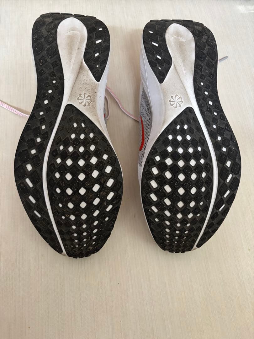 【28cm】ナイキ　ペガサス41